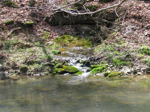 Property photo 8 - 137 Acres in 2 Tracts - 64 Tillable Acres, Potential Building Sites, Hunting